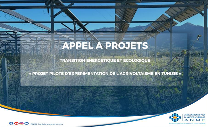 Agrivoltaïsme en Tunisie : l’ANME lance un projet pilote