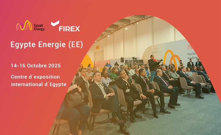 Egypt Energy 2025